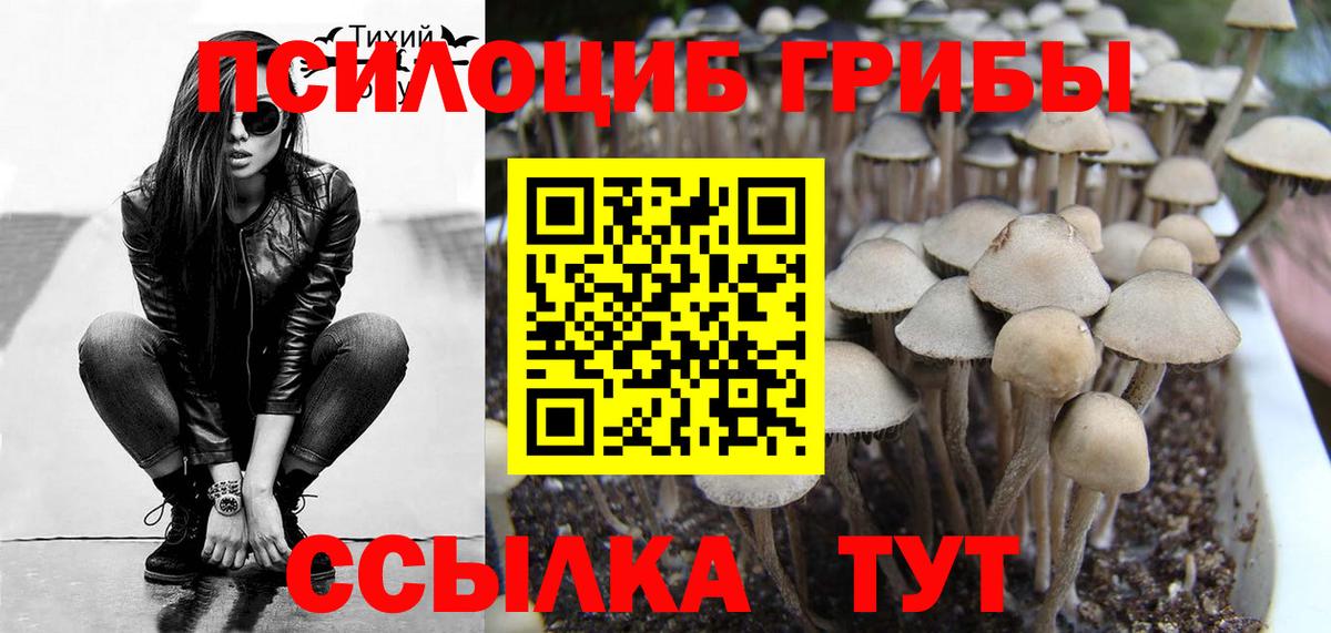 Псилоцибиновые грибы ЛСД  Вход с VPN  Ипатово 